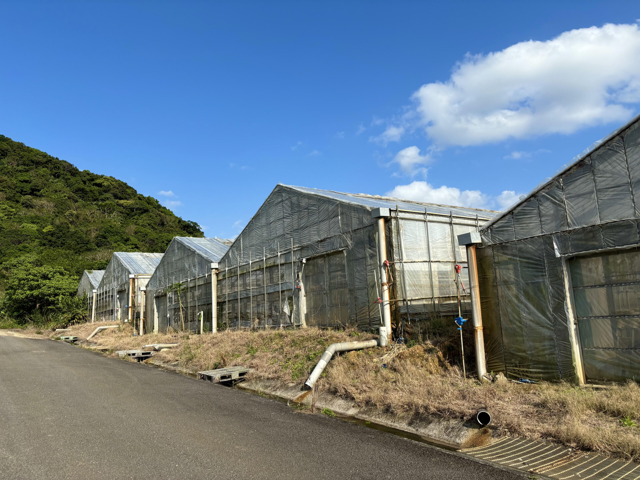 【石垣島 不動産 土地売買情報】宮良 ビニールハウス2棟付き農地　666坪 1,200万円